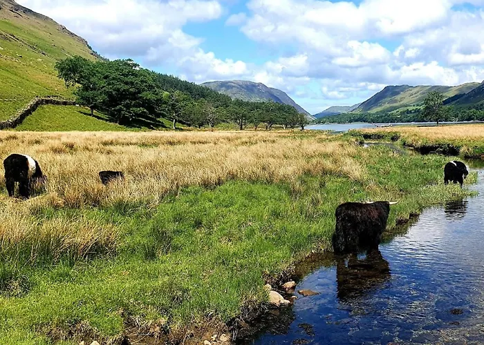 1 Bed In Keswick Oc-86246 شقة